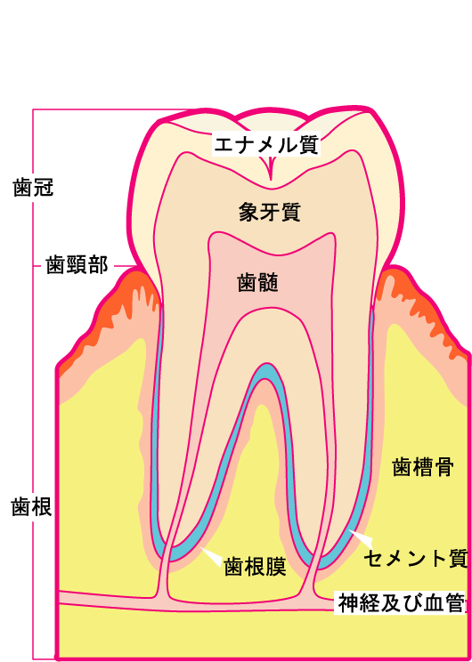 soshiki