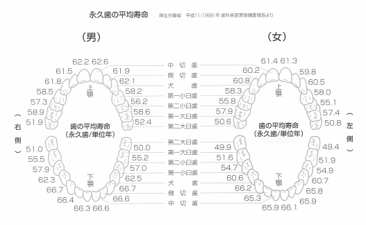 zu_jyumyou