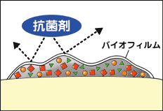 バイオフィルム形成